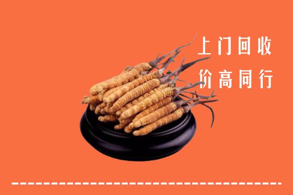 高价求购：定安回收散虫草