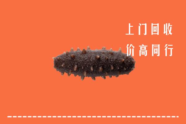 定安回收海参